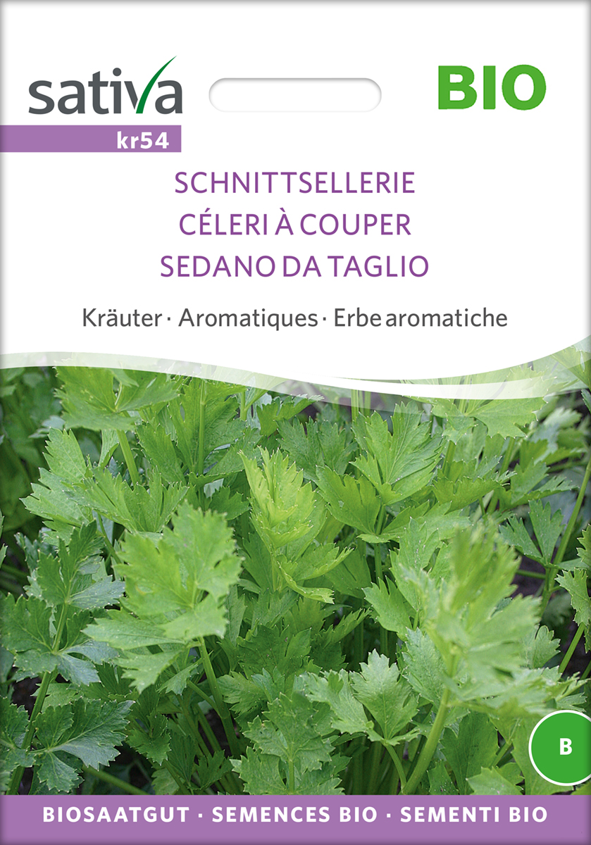 Schnittsellerie Sativa