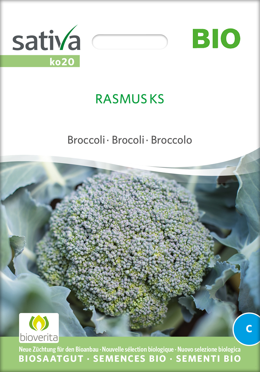 ko20_broccoli_rasmus_ks_bio_samen Broccoli Rasmus KS BIO Saatgut