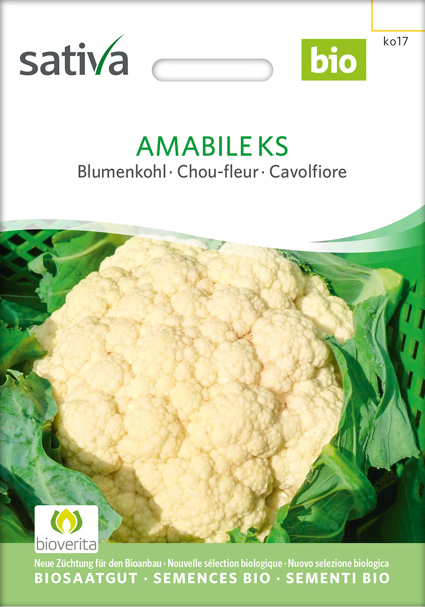 Blumenkohl Amabile KS BIO Samen