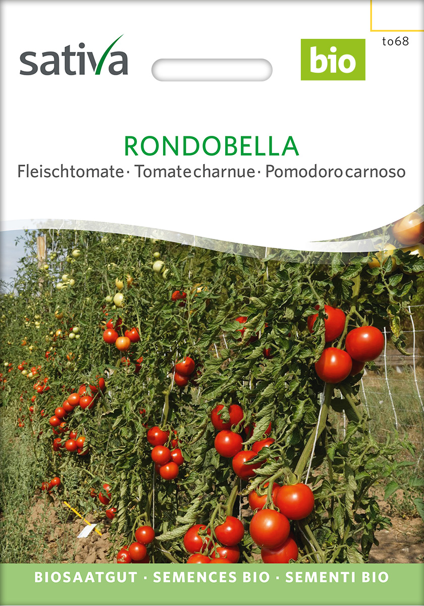 to68_tomate_rondobella_bio_samen Tomate Rondobella BIO Samen