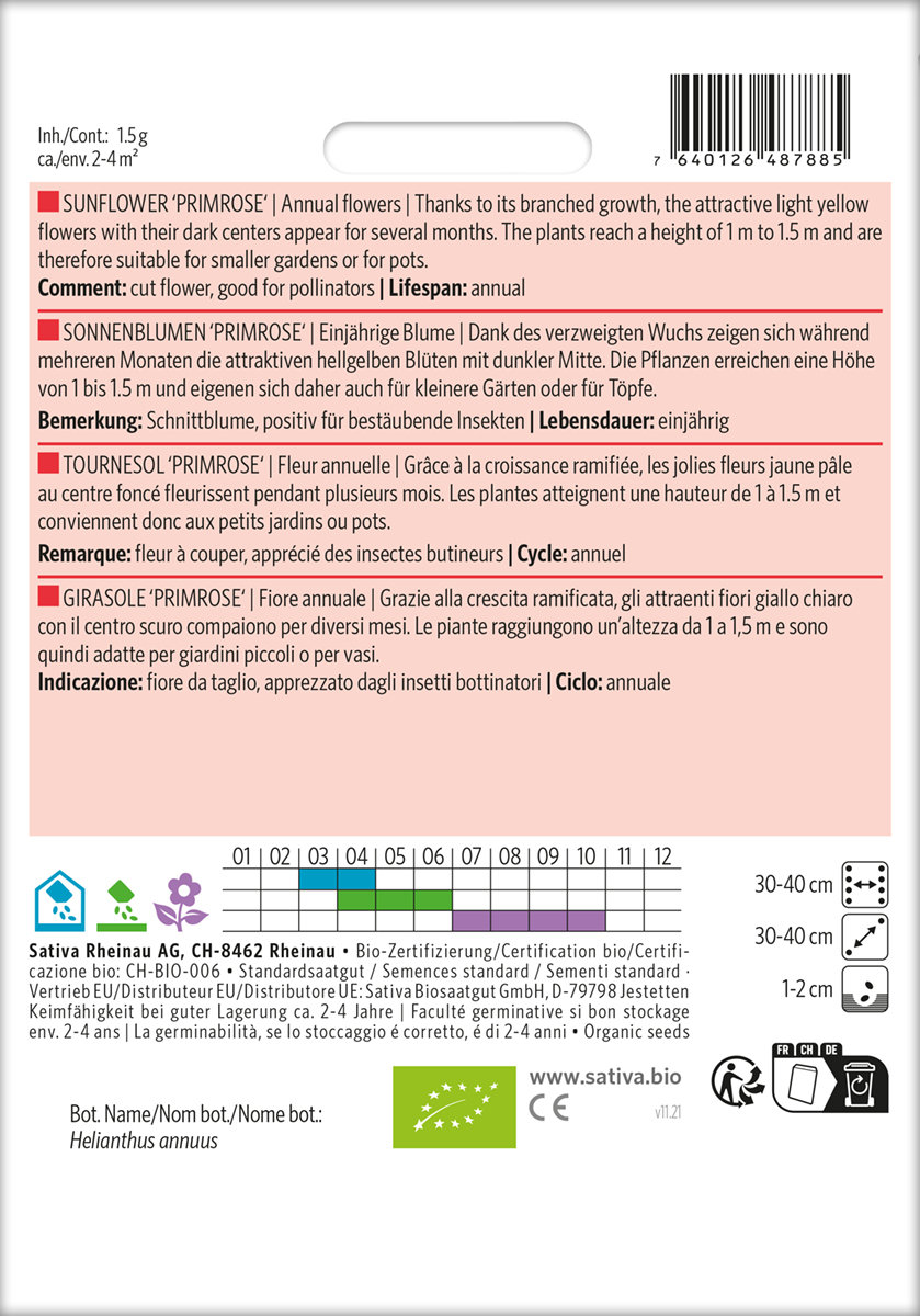 Sonnenblume Primrose Bio Samen