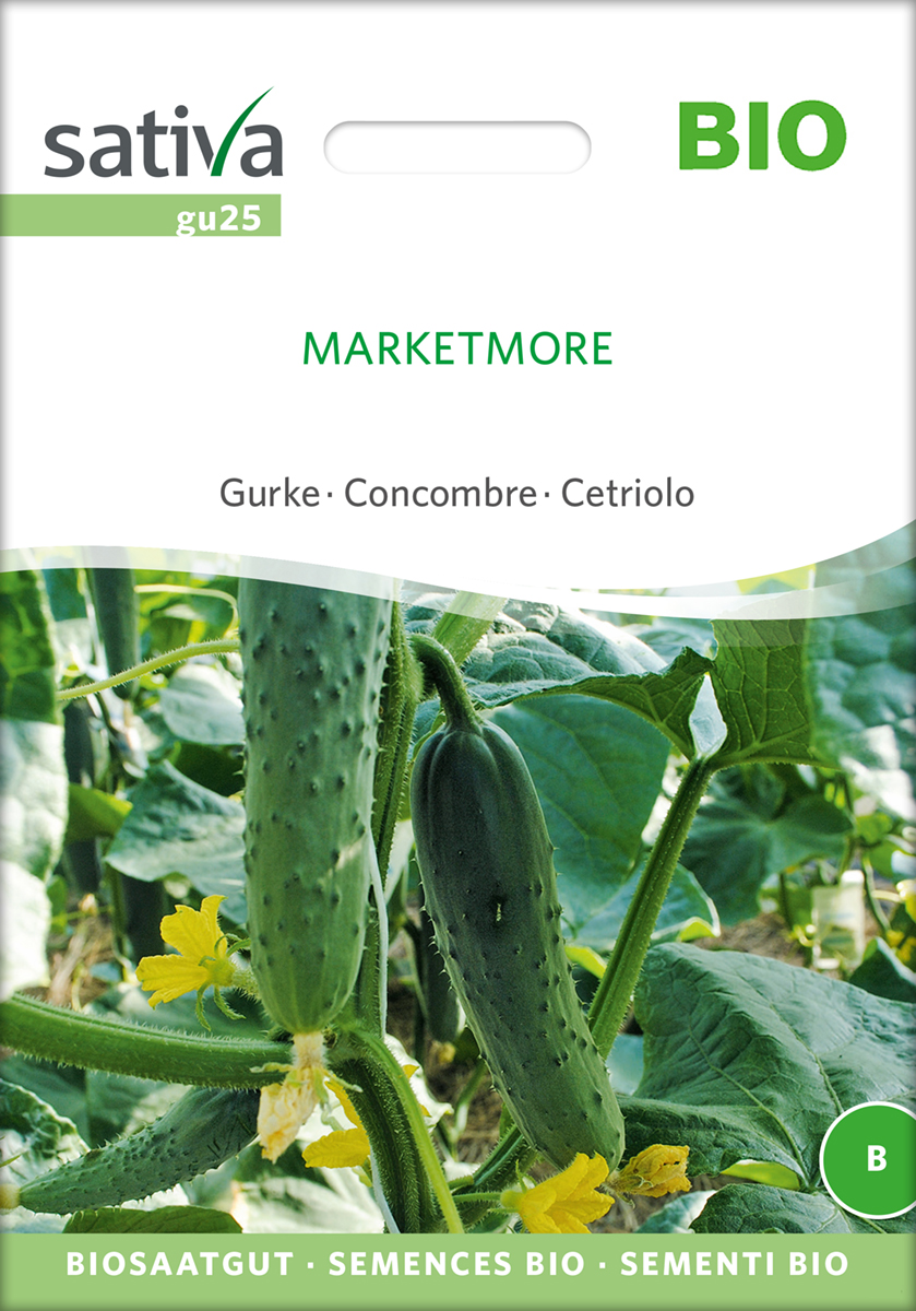 gu25_gurke_marketmore_bio_samen Gurke Marketmore BIO Samen