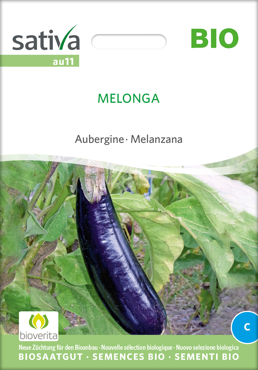 Aubergine Melonga BIO Samen