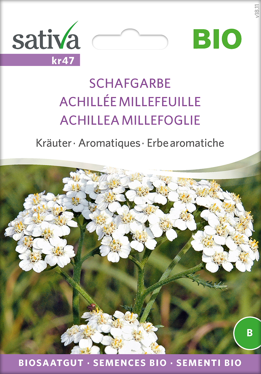 kr47-schafgarbe-sativa-seeds-for-the-world Schafgarbe Samen für die Welt