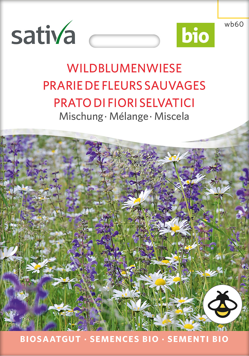 Wildblumenwiese | Biosaatgut