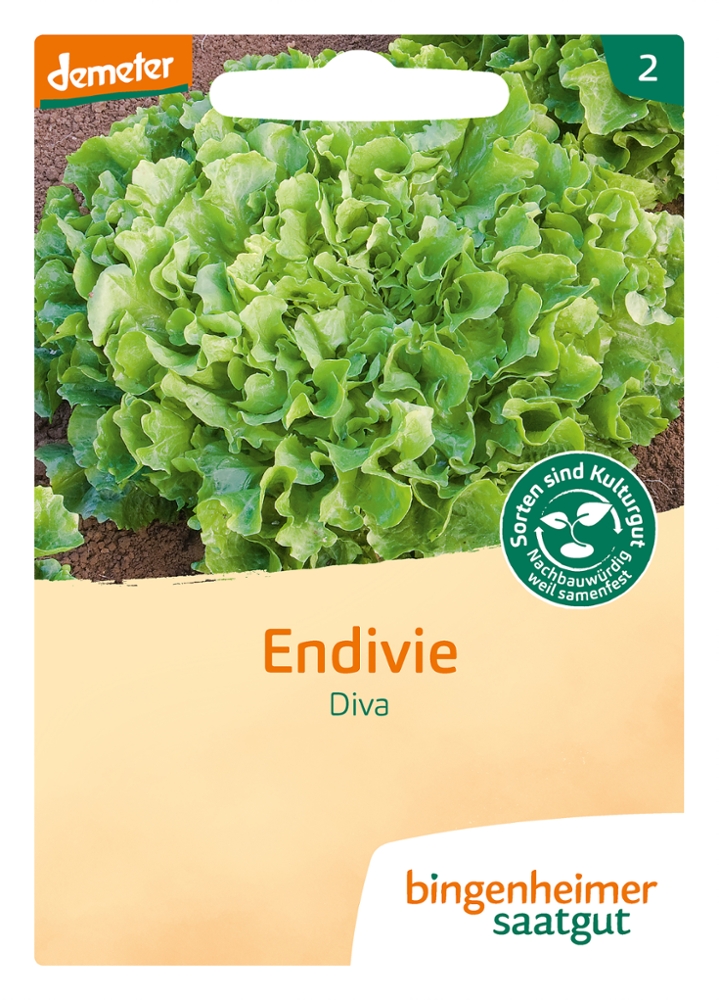 Endivie Diva BIO Samen