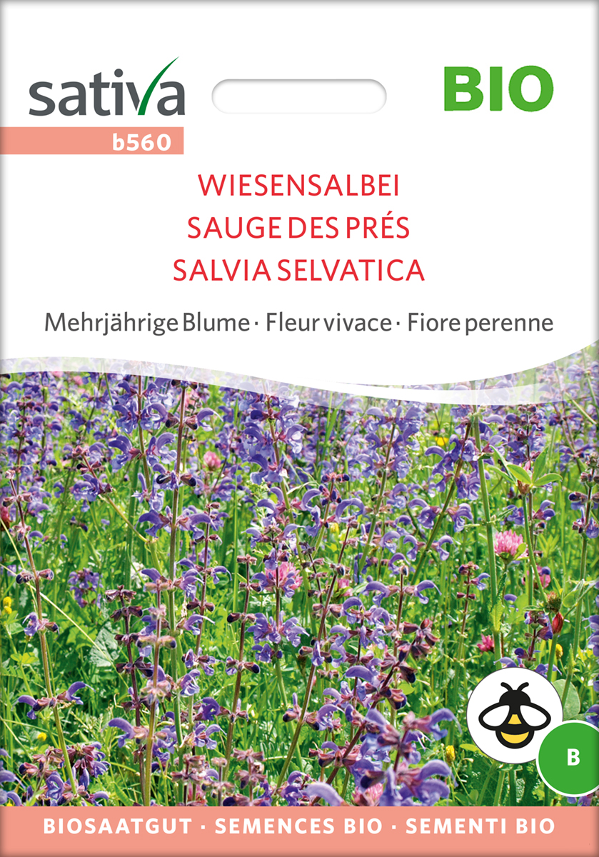 b560_wiesensalbei_samen_bio Wiesensalbei - BIO Samen von Sativa