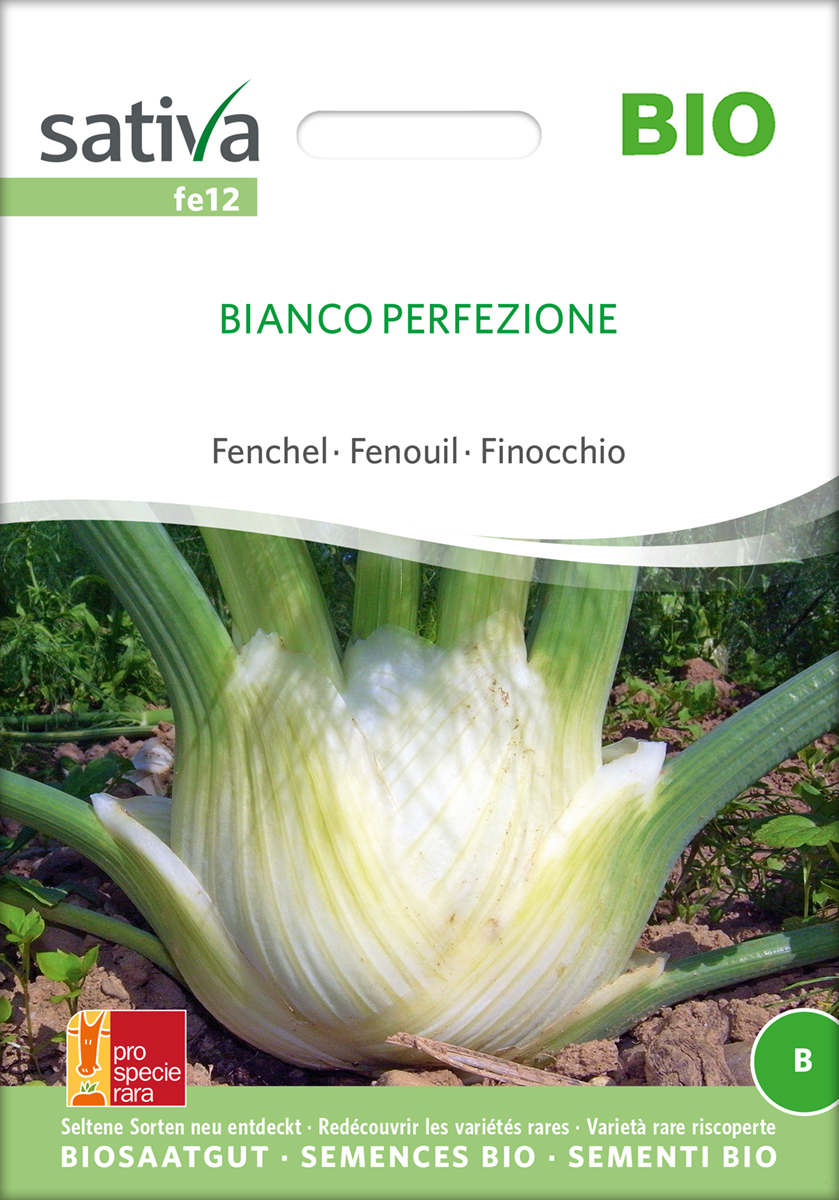 Fenchel 'Bianco Perfezione' BIO Samen