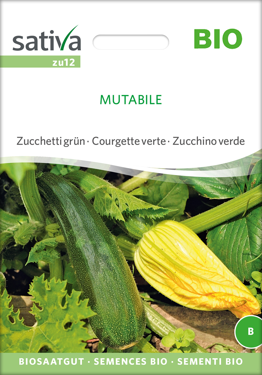 zu12_zucchini_mutabile_bio_samen Zucchini 'Mutabile' BIO Samen