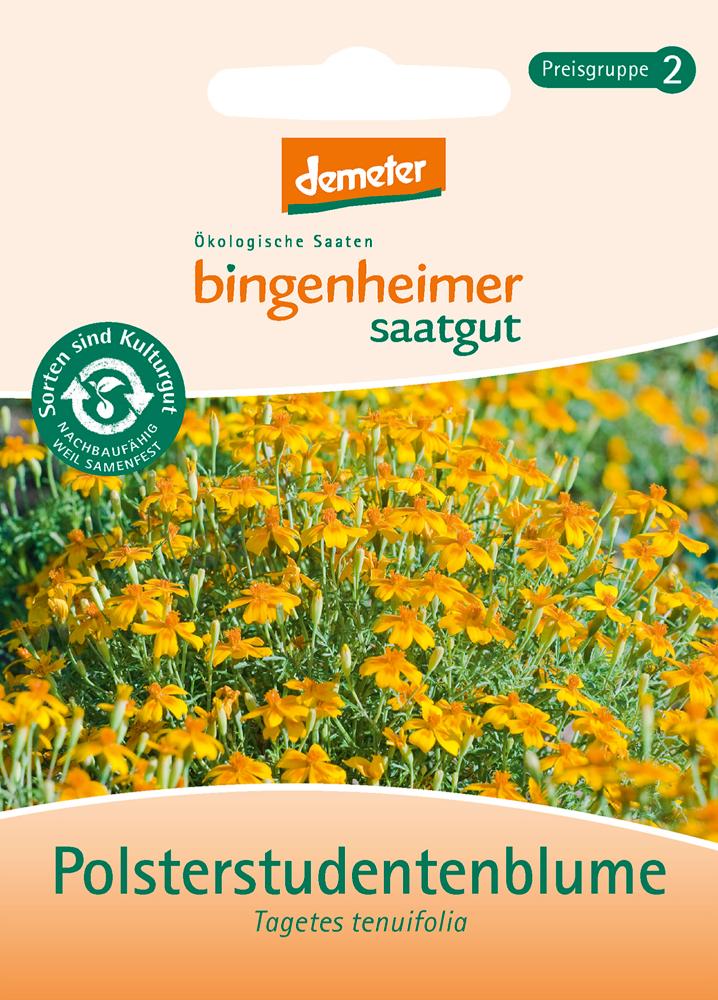 Polsterstudentenblume/ Würztagetes biosaatgut