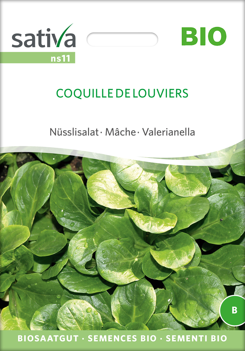 Feldsalat Nüsslisalat, Ackersalat 'Coquille deLouviers' Bio-Samen