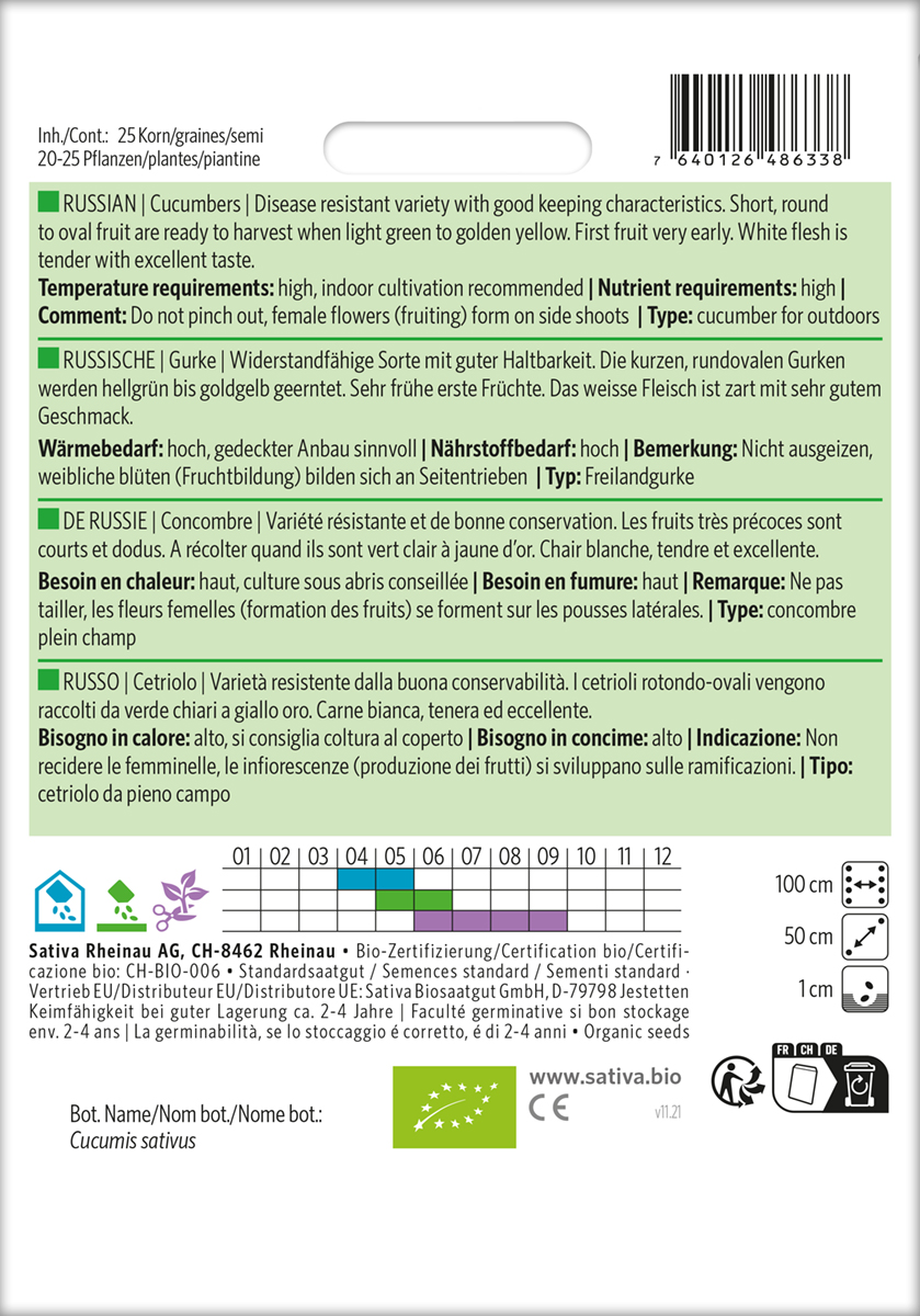 Gurke 'Russische' Biosamen