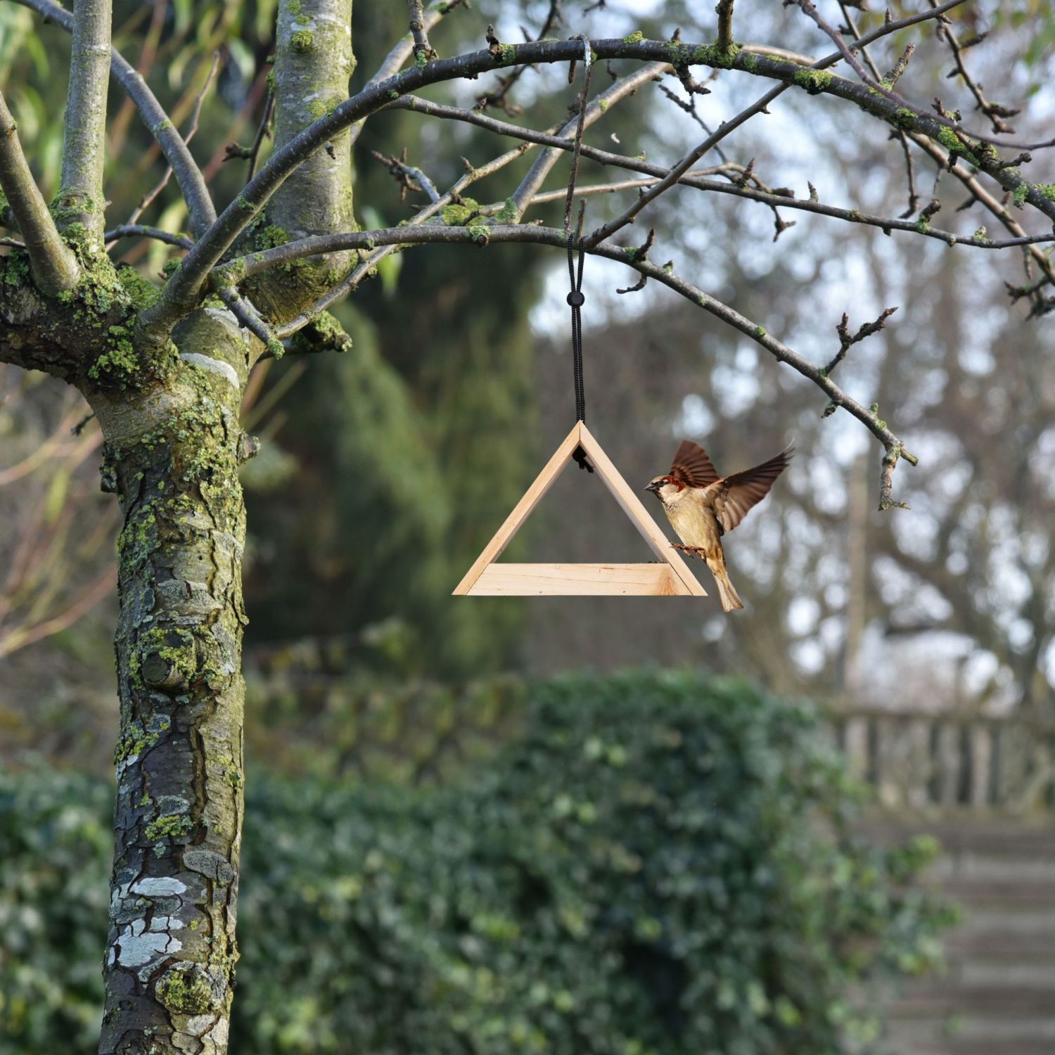 Vogelfutterhaus natur