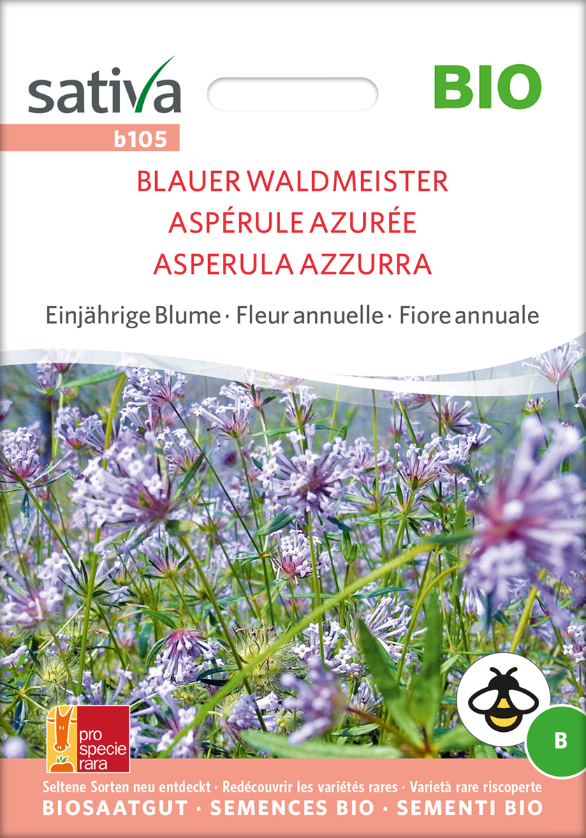 Blauer Waldmeister BIO Samen