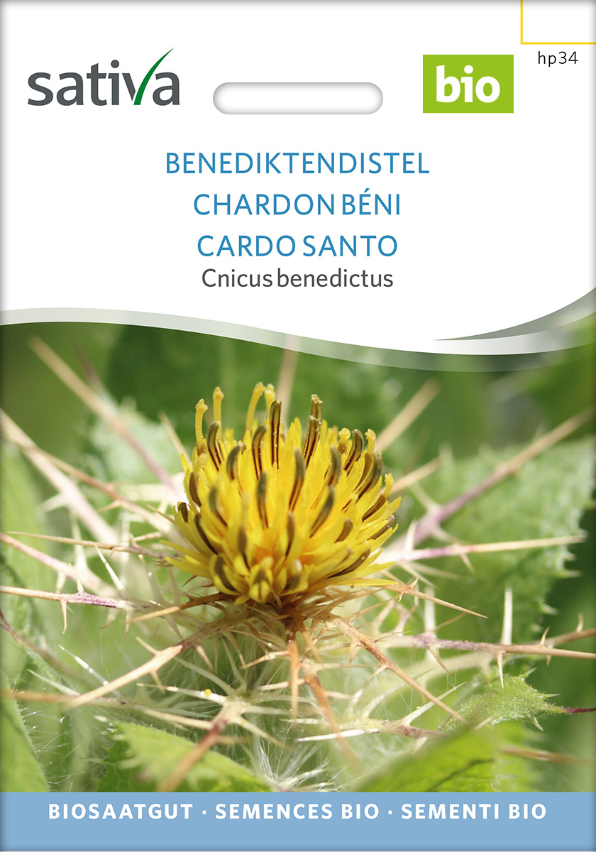 hp34_benediktendistel_heilpflanze_bio_samen Benediktenkraut Bio Samen