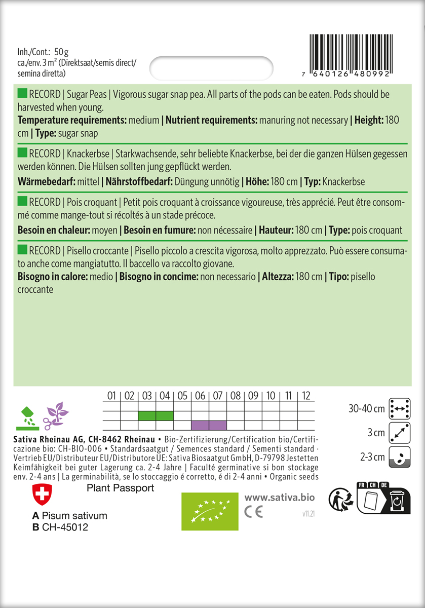 Erbse 'Record' Samen, BIO Saatgut von Sativa