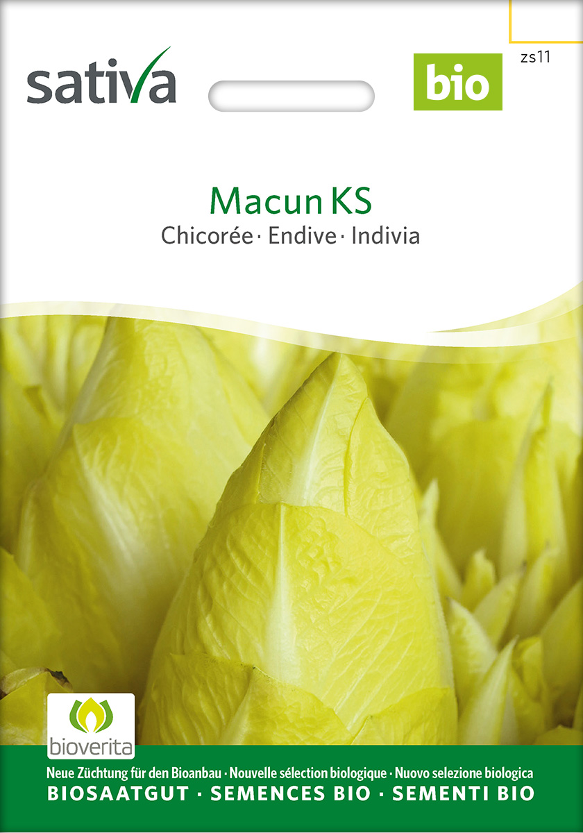 Chicorée 'Macun KS'  BIO Samen von Sativa