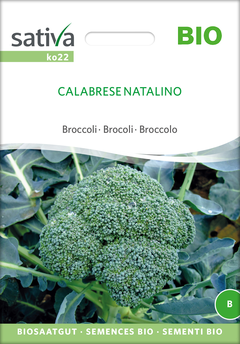 ko22_broccoli_calabrese_natalino_bio_samen Broccoli Calabrese Natalino BIO Samen
