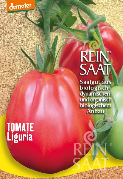 Tomate 'Liguria' BIO Samen | Ochsenherztomate Tomate 'Liguria' BIO Samen | Ochsenherztomate