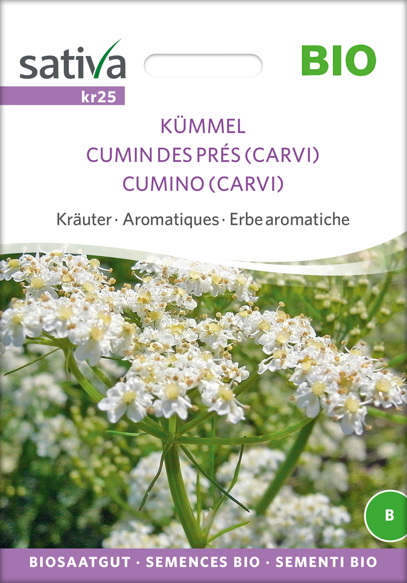 Kümmel BIO Samen von Sativa