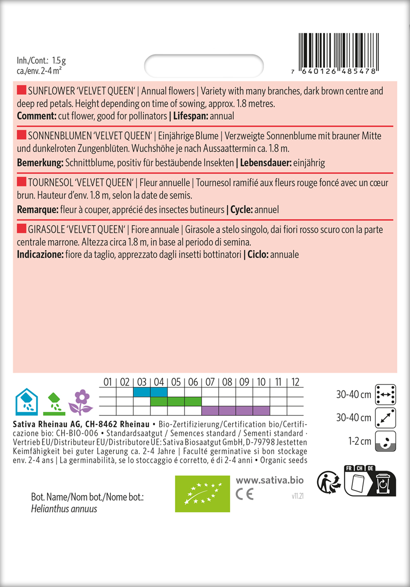Sonnenblume Velvet-Queen Biosaatgut
