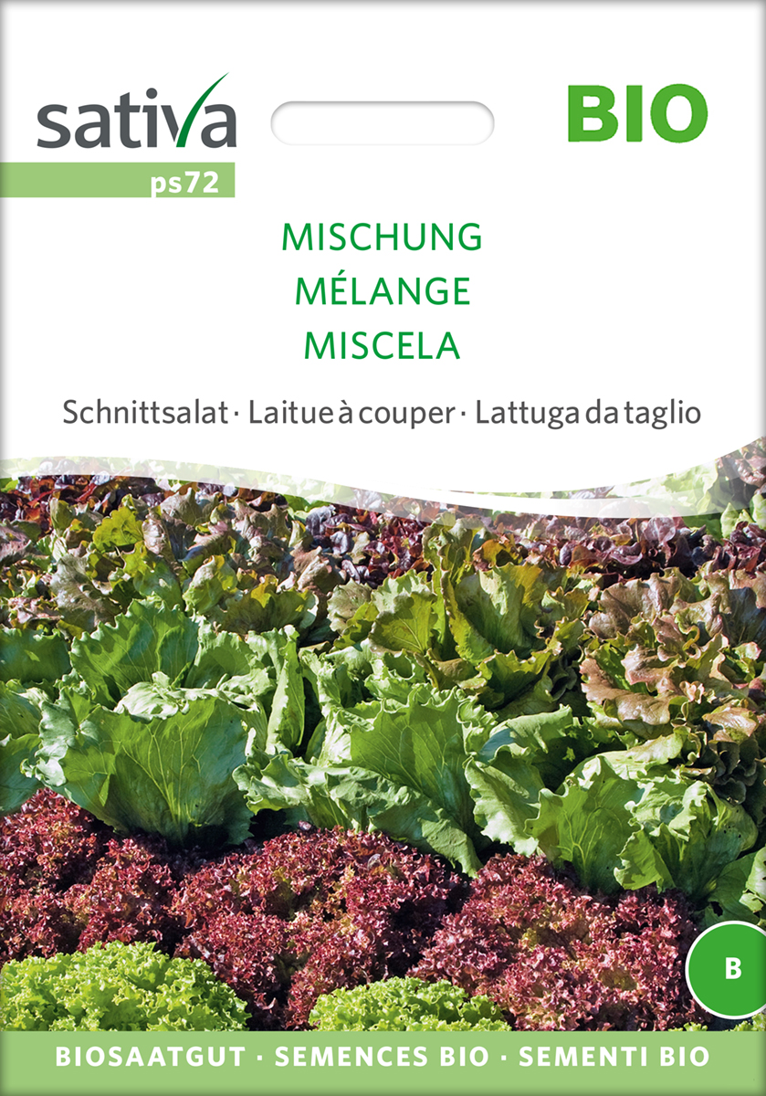 ps72_schnittsalat_mischung_bio_samen Schnittsalat 'Mischung' BIO Samen