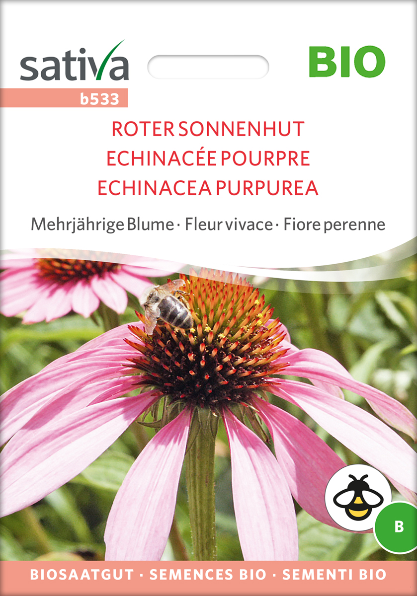 Roter Sonnenhut - Echinacea Samen