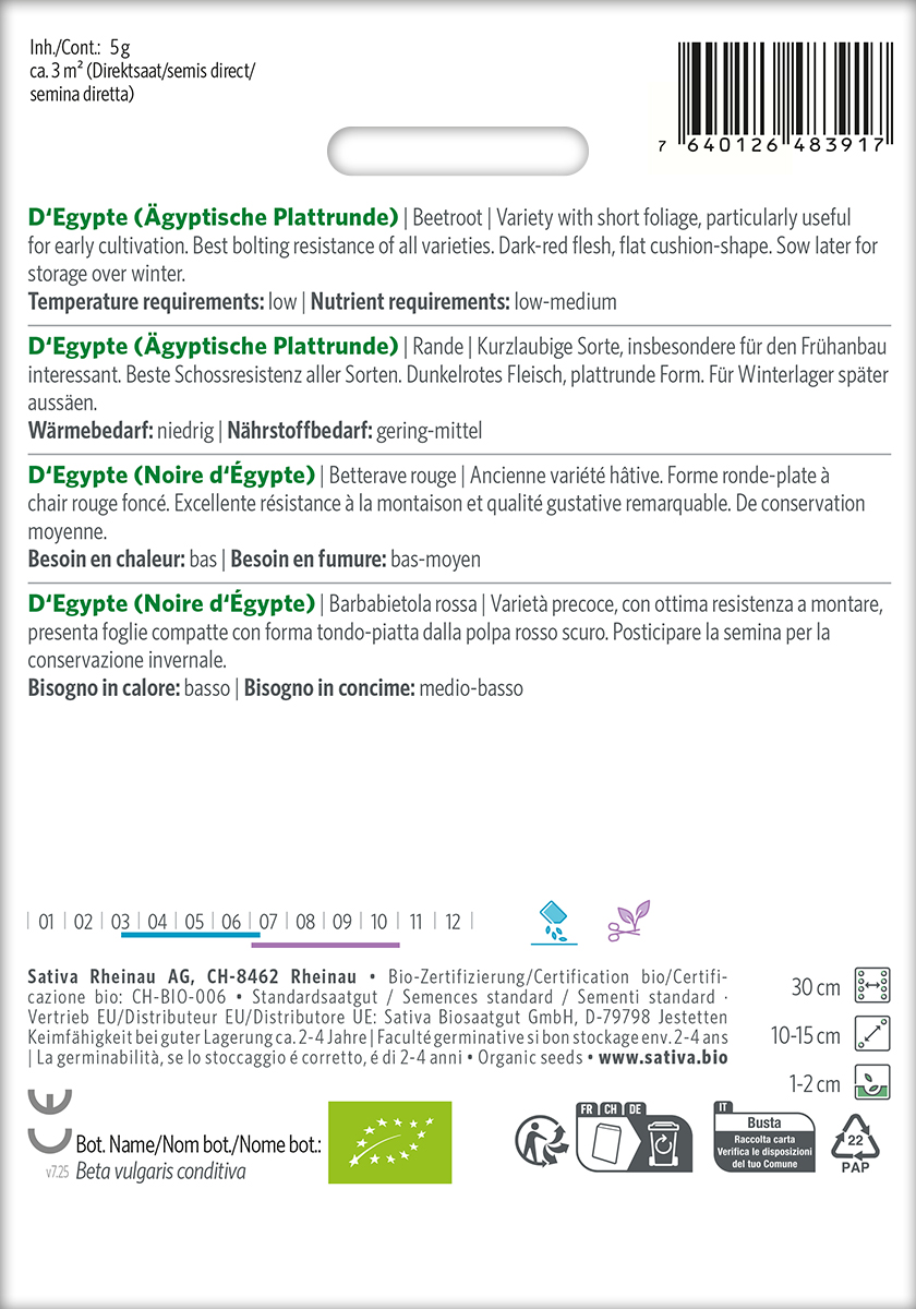 Rote Bete Ägyptische Plattrunde BIO Samen