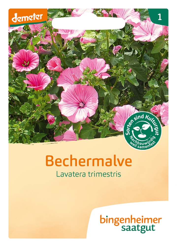 Bechermalve Bio Samen