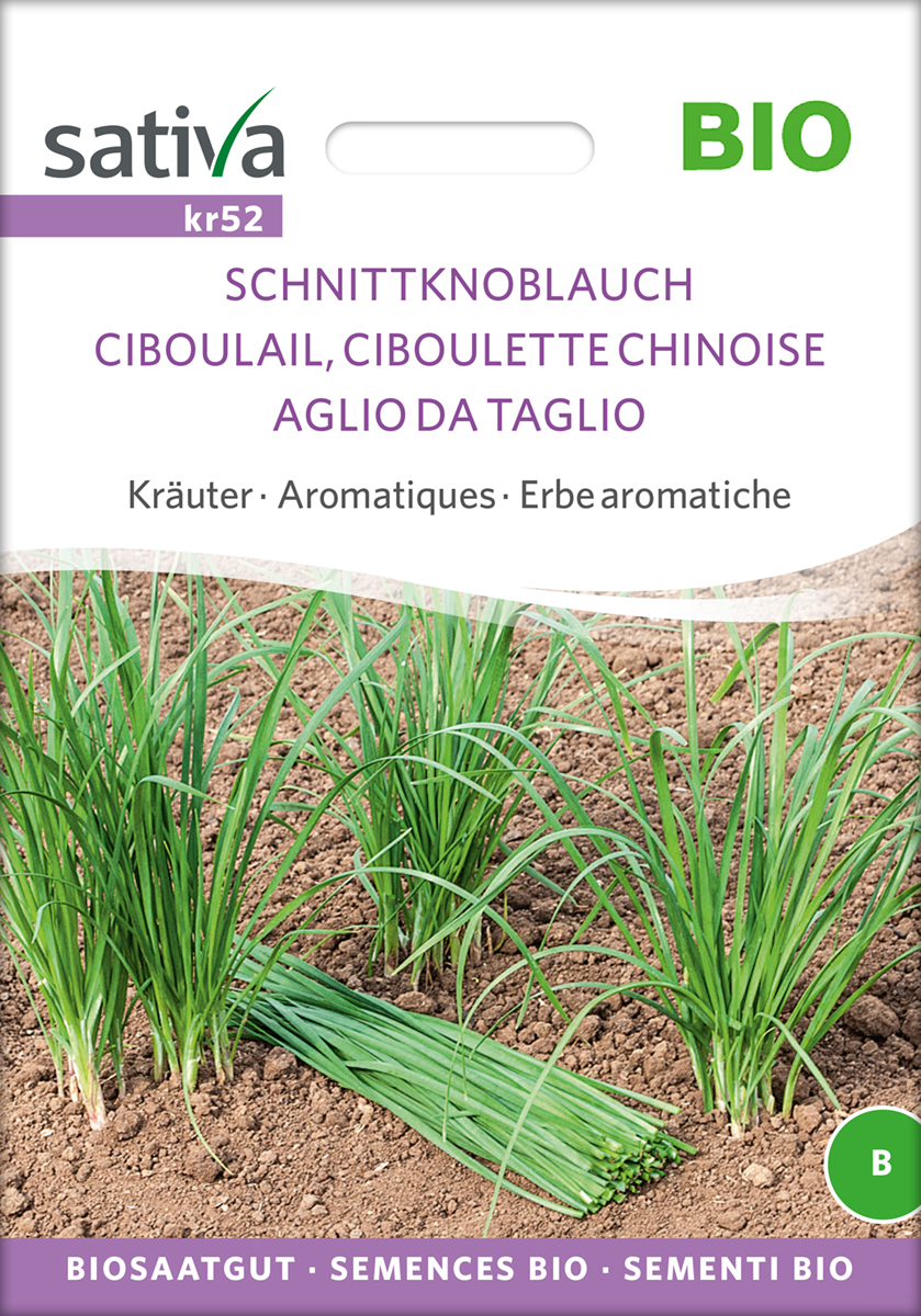 Schnittknoblauch Bio Samen