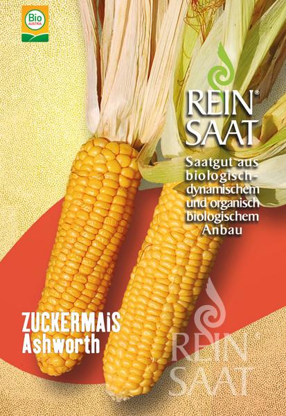 Zuckermais 'Ashworth' BIO Samen Zuckermais 'Ashworth' BIO Samen