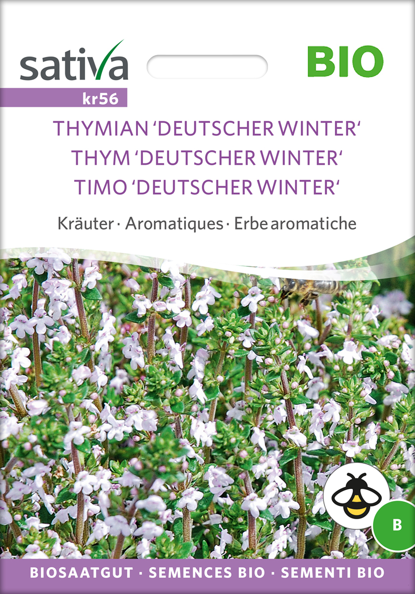 kr56_thymian_deutscher_winter_bio_samen Thymian Deutscher Winter Samen BIO