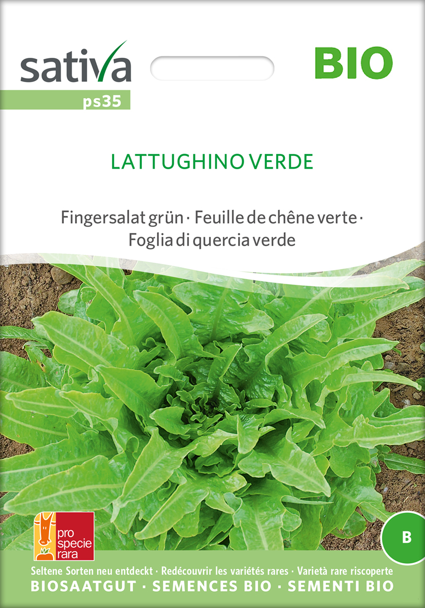 ps35_pfluecksalat_lattughino_verde_bio_samen Pflücksalat Lattughino Verde Samen