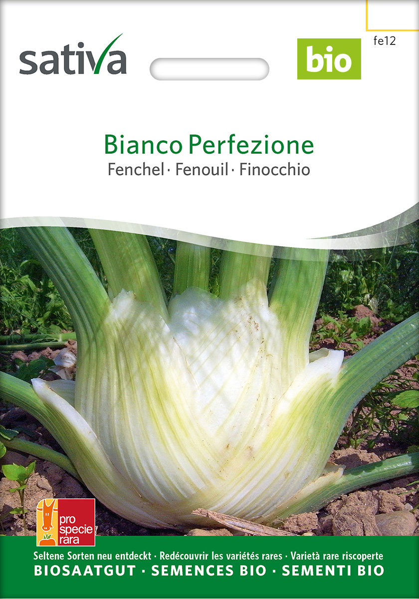 Fenchel 'Bianco Perfezione', BIO Samen
