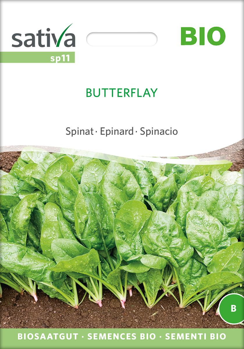 Spinat Butterfly Samen