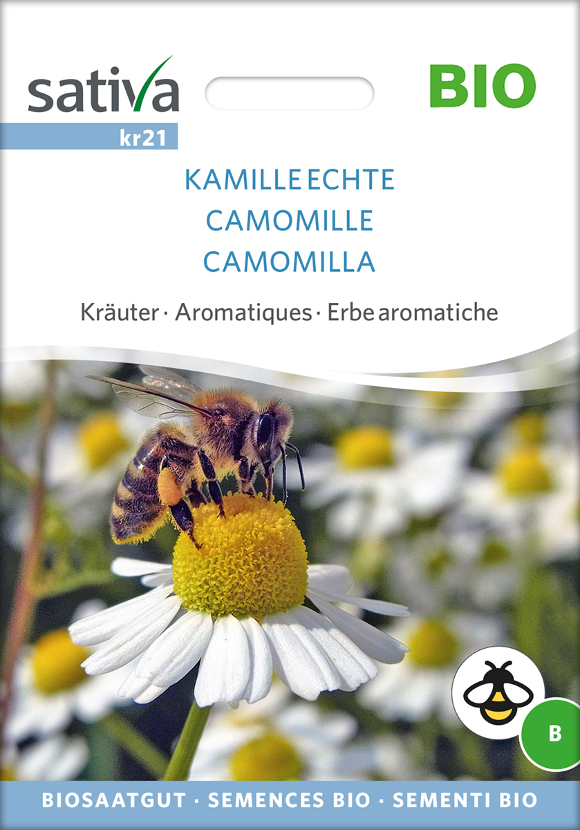 kr21_kamille_echte_bio_samen Echte Kamille BIO Samen