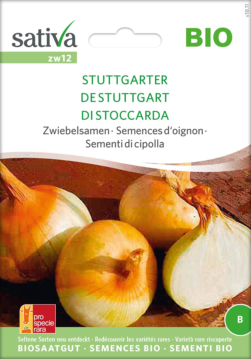 Zwiebel Stuttgarter BIO Samen 