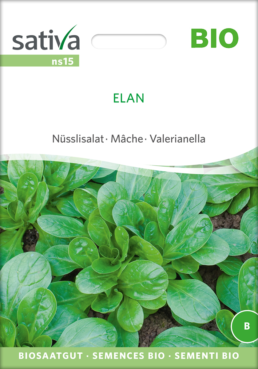 Feldsalat/ Ackersalat Elan Bio Samen