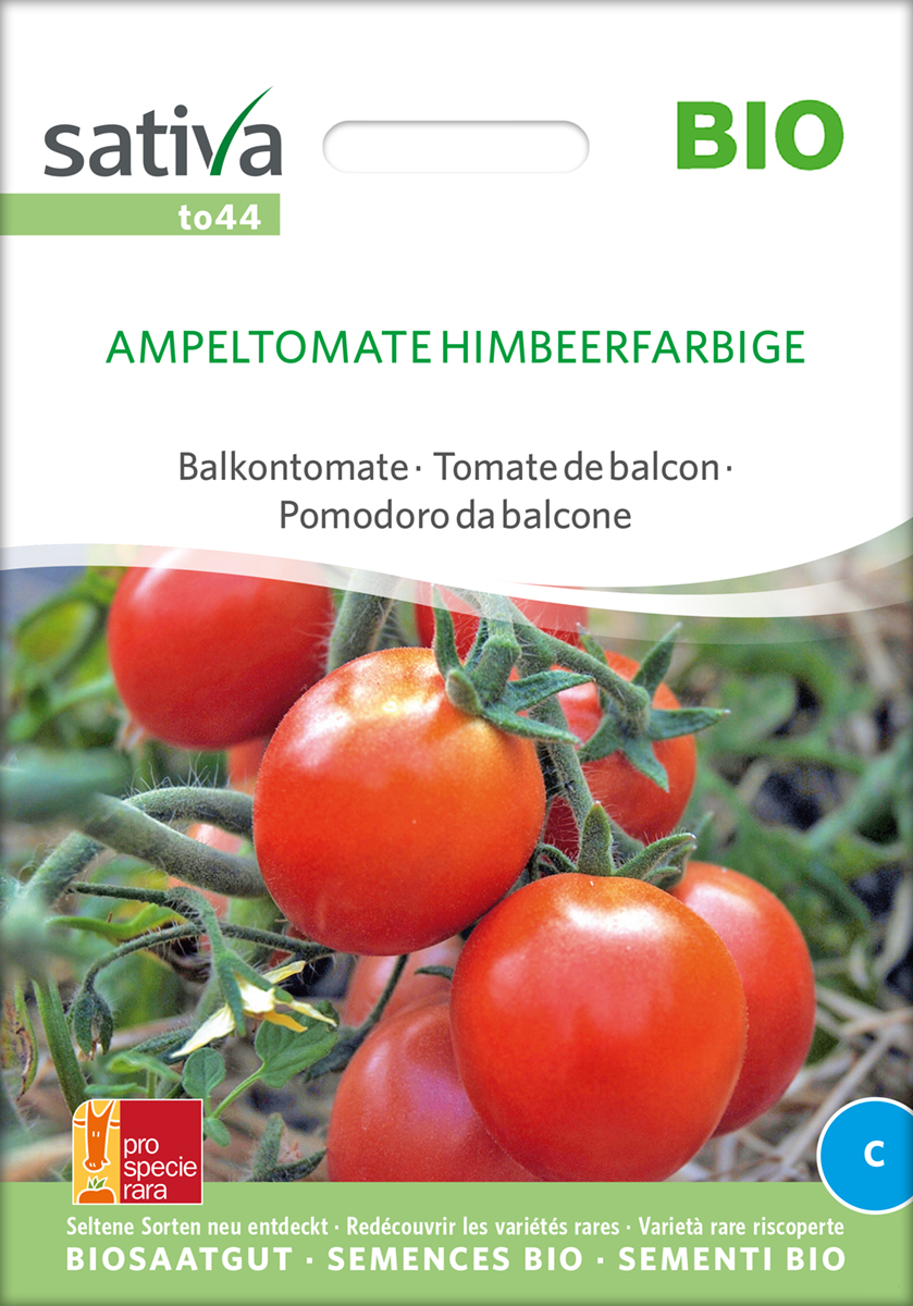 to44_tomate_ampeltomate_himbeerfarbige_bio_samen Tomate Ampeltomate Himbeerfarbige Biosamen
