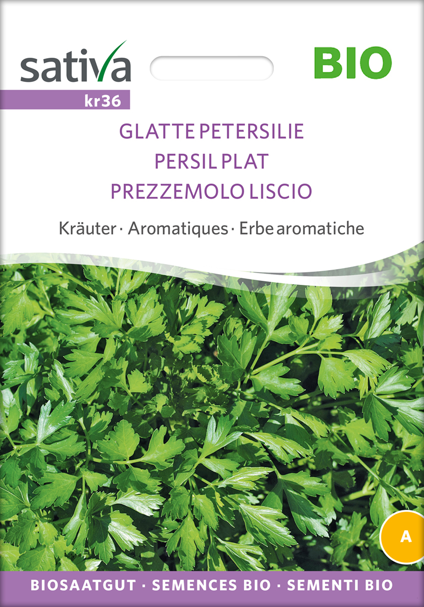 kr36_glatte_petersilie_bio_samen Glatte Petersilie, Bio Samen, Sativa