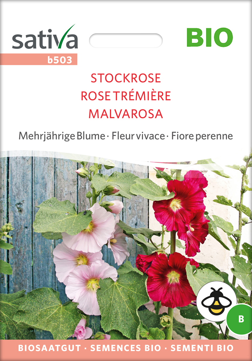 b503_stockrose_samen_bio Stockrose - BIO Samen von Sativa