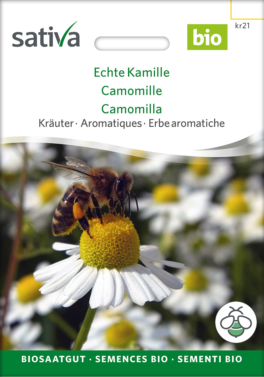 Echte Kamille BIO Samen