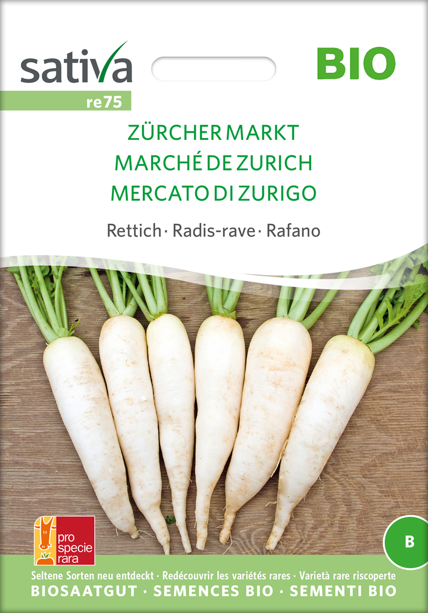 Rettich Zürcher Markt Biosamen