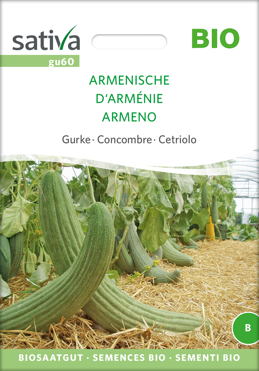gu60_gurke_armenische_bio_samen Gurke Armenische BIO Samen