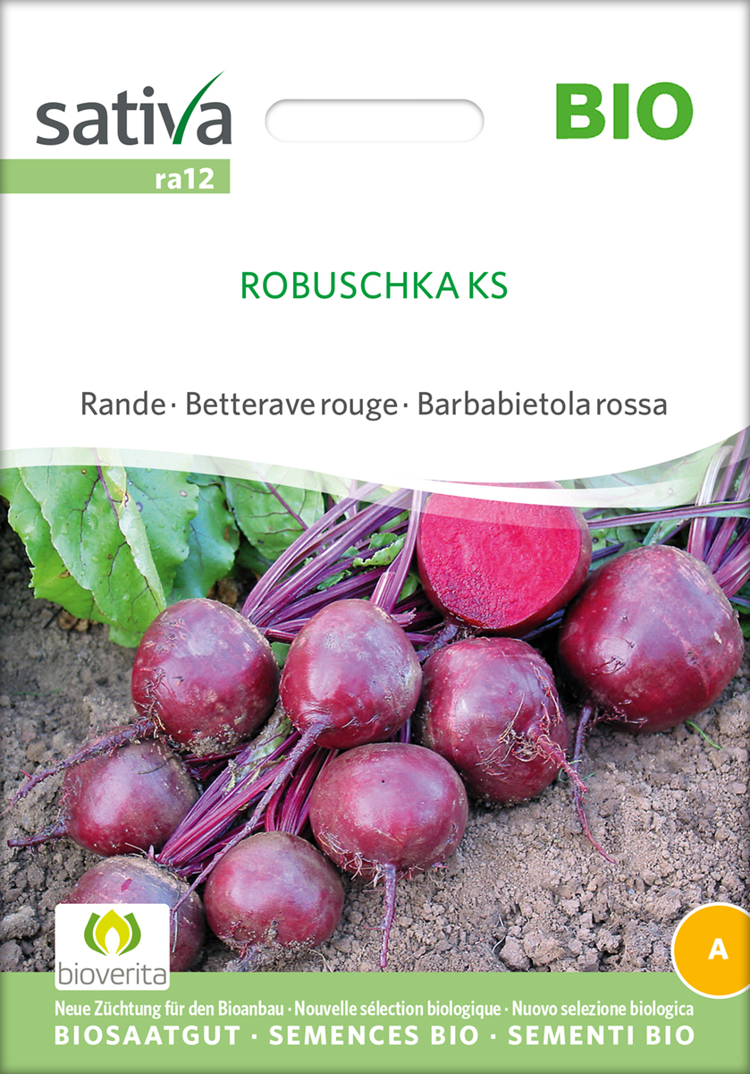 Rote Beete Robuschka KS BIO  Samen