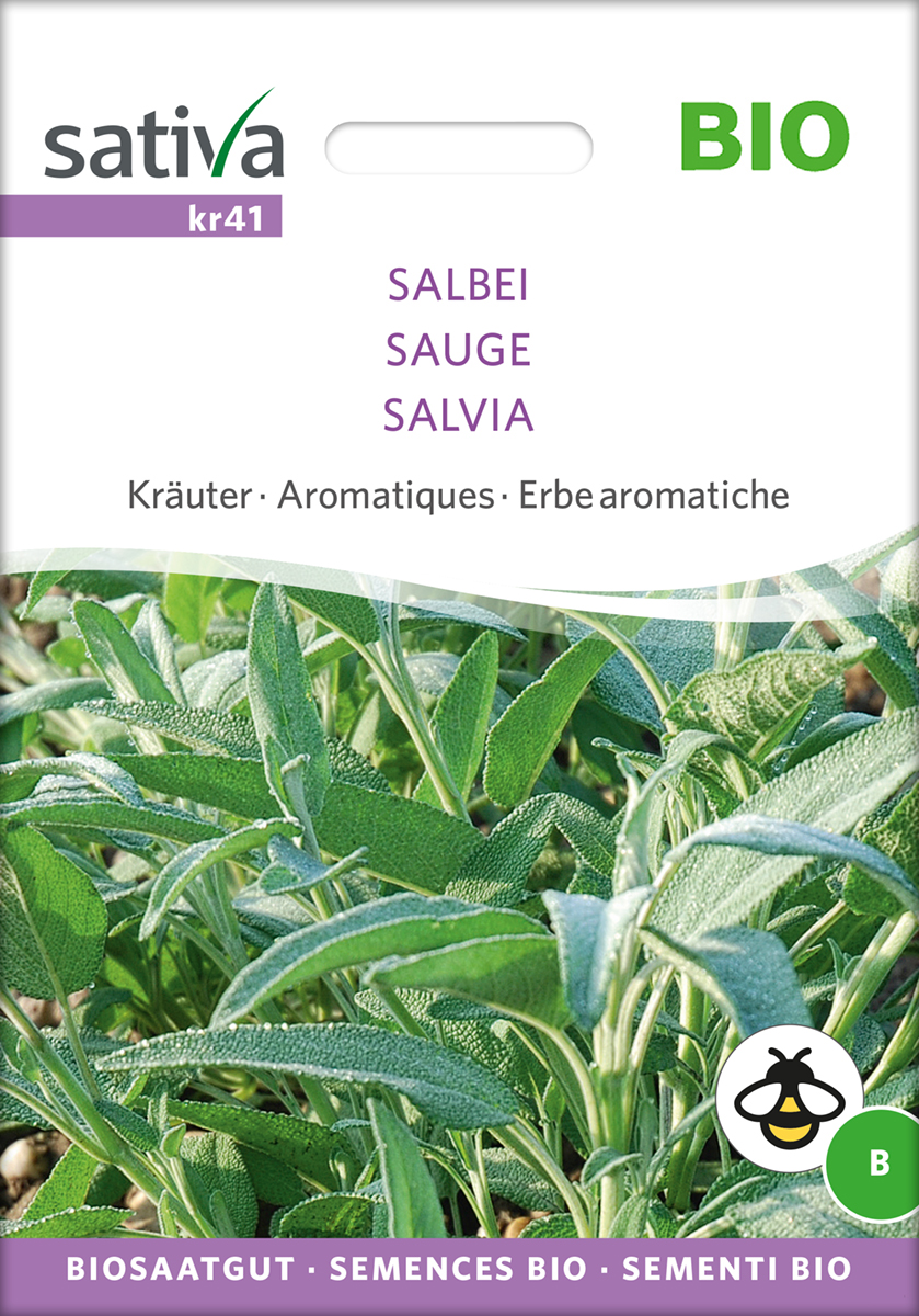 kr41_salbei_bio_samen Salbei BIO Samen