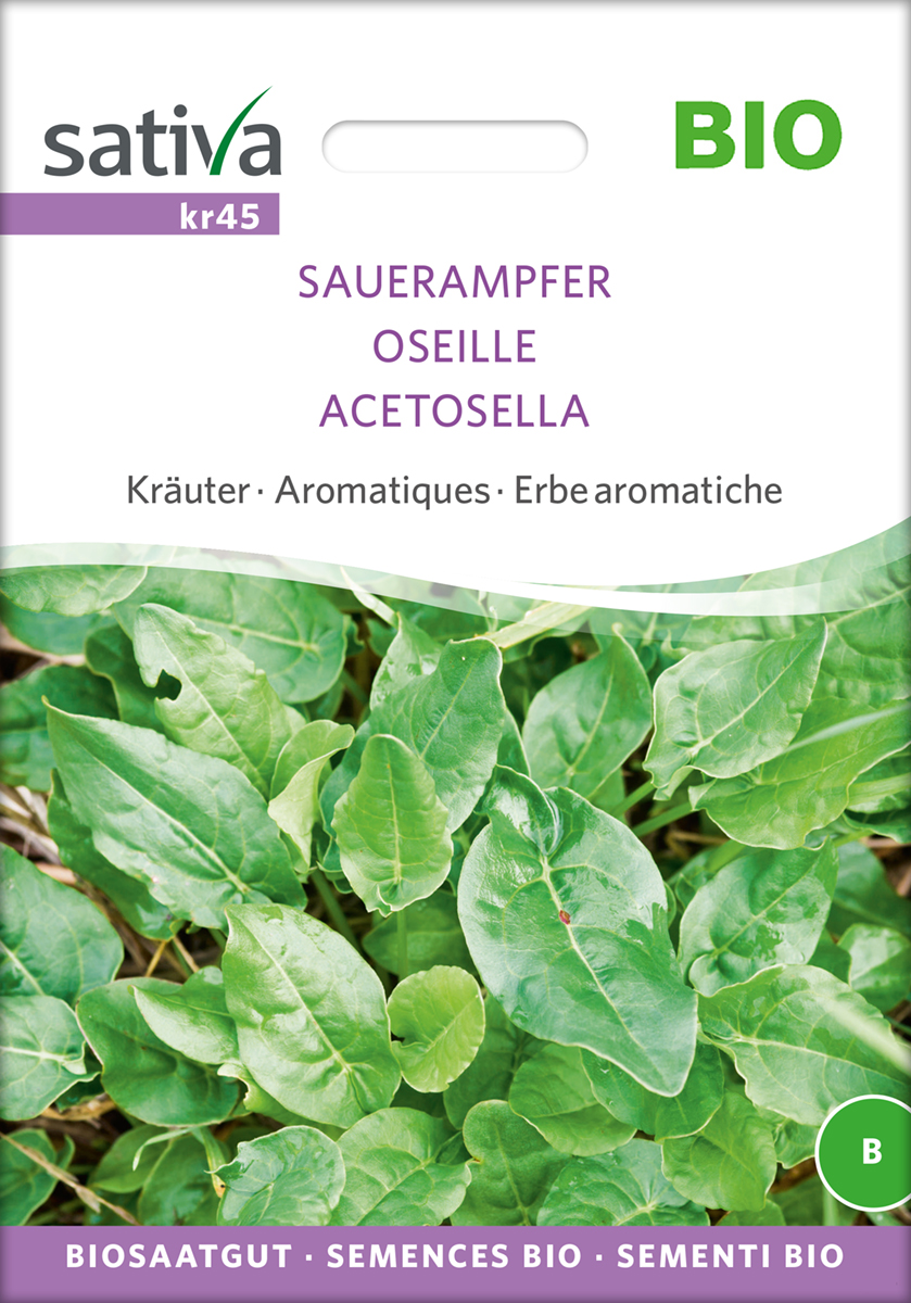 Sauerampfer Sativa