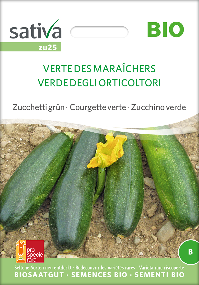 zu25_zucchini_verte_des_maraichers_bio_samen Zucchini 'Verte des Maraîchers' BIO Samen