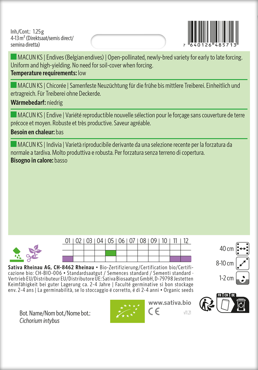 Chicorée Macun KS Biosaatgut