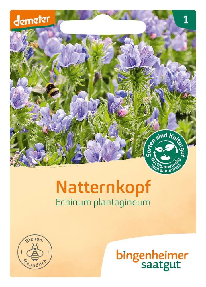 Natternkopf BIO Samen Natternkopf BIO Samen